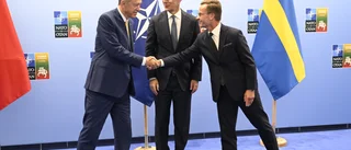 USA: Erdogans Sverigebesked bra