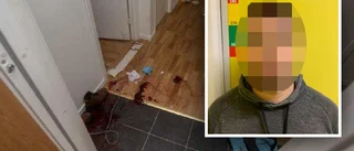 29-åringen: "Röster sa att jag skulle göra illa dem"