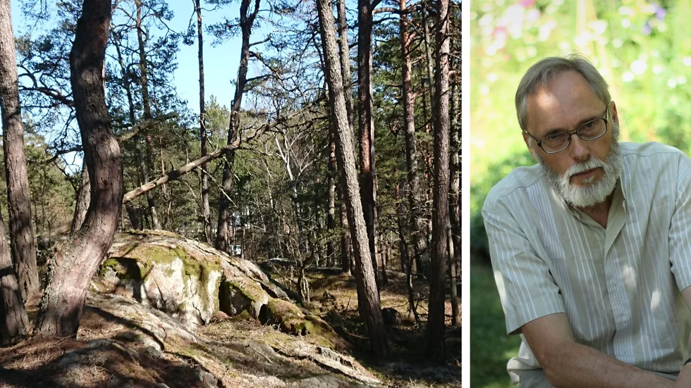 "Vi i Miljöpartiet i Norrköping har sedan länge agerat för att rädda skogen i Arkösund. Skönt när det ger resultat!" säger Ingemar Hillerström (MP), ledamot i samhällsplaneringsnämnden