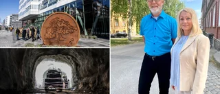 Doldis kan spela viktig roll i gröna omställningen