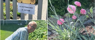 De släcker plantornas törst med vatten från Trosaån