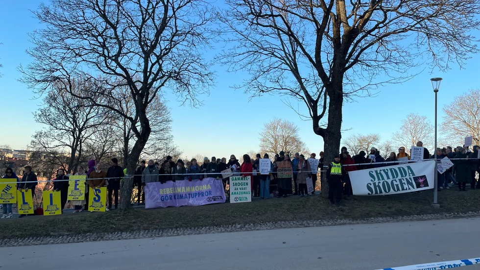 Ett av demonstranternas mer centrala budskap för kvällen var att skydda skogen.