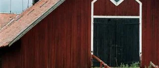 Här är korna trygga för blixten