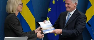 OECD varnar för effekten av elstöd