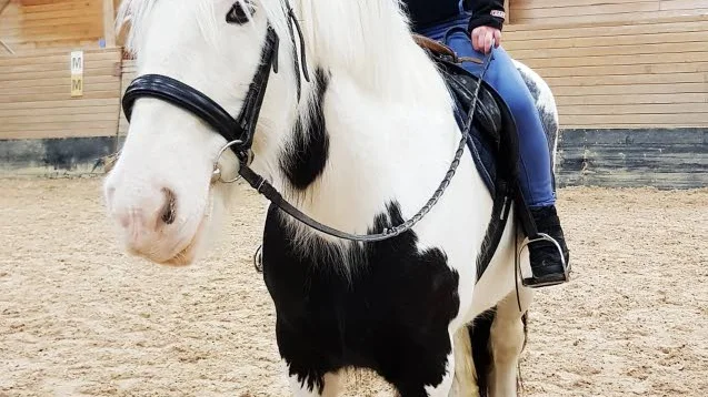 Maria Raattamaa är en av alla aktiva medlemmar.