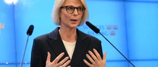 Man kan sänka skatter och inflationen, Svantesson