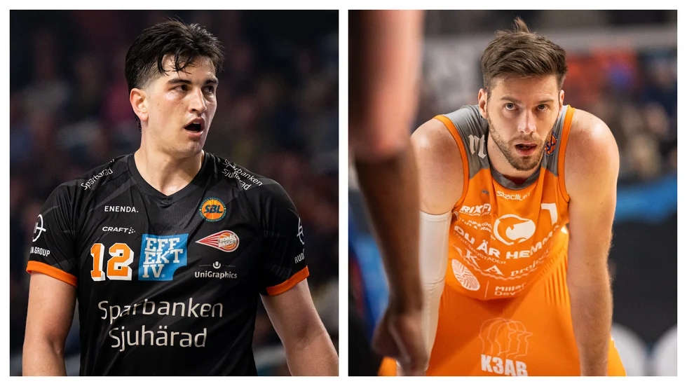 Ryan Logan knockade Adam Ramstedt i den tredje finalen – men Dolphins väljer att inte anmäla överfallet.