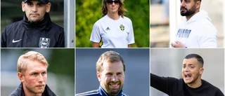 Här är tränarna som kan ta över efter Valfridsson