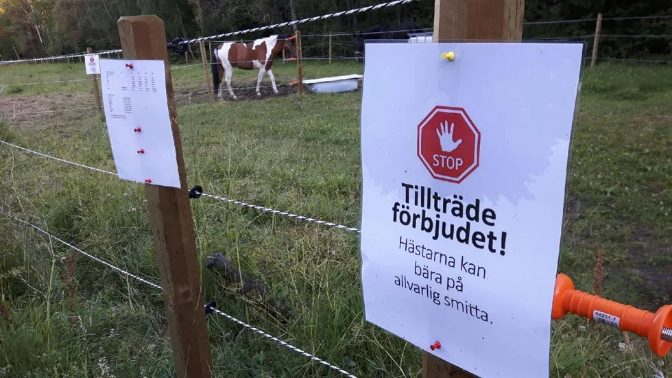 Lurbo Ridklubb har drabbats av kvarka.