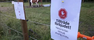 Allvarlig hästsjukdom på ridklubb