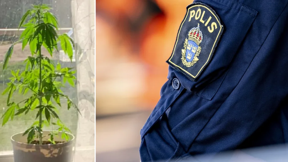 En man i trettioårsåldern från Uppsala greps i samband med en trafikkontroll och döms för grovt narkotikabrott.