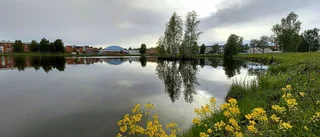 Stillsamt under nationaldagen   
