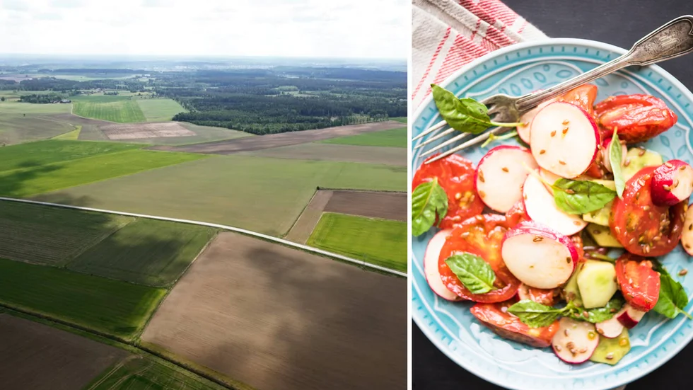 Genom att minska andelen inköpta närproducerade samt ekologiska produkter kommer kommunens klimatavtryck öka. Det vi lägger på fatet får effekter på klimatet, skriver debattskrienten.