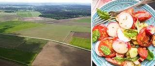 Låt oss värna lokalproducerat och stötta eko-bönderna
