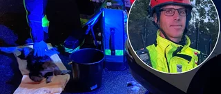 Katt och sköldpadda fick akutvård efter lägenhetsbrand ✓Hjärt- och lungräddning ✓Syrgas ✓"Handlar om medmänsklighet"