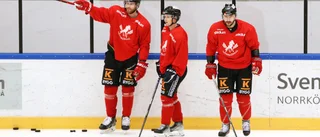 Vita Hästen lånar in poängkung: "Jag försöker utnyttja farten"