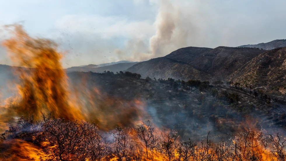 En skogsbrand härjar i Altura i östra Spanien i augusti. Skogsbränder är en stor källa till luftföroreningar som kan utgöra hälsorisker. Arkivbild.