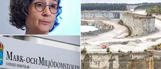 Kritikerna behöver tid – inga besked om överklaganden • ”Måste analysera domskälen och överväga”