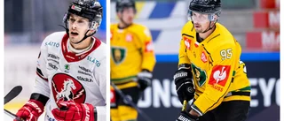Hästens förre powerforward om livet i Polen: "Vad fan har jag gett mig in på?"
