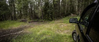 Nu är mysteriet med potatislandet löst