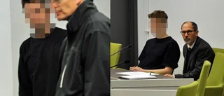 Piteåmordet: Inte psykiskt sjuka