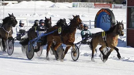 Min Borka (1) travade undan i ledningen från start till mål för Sandra Eriksson och vann till gladoddset 46,11.
