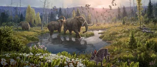 Sensationella fyndet: Uppsalaforskare var med och hittade världens äldsta dna • "Helt nytt kapitel i evolutionens historia"