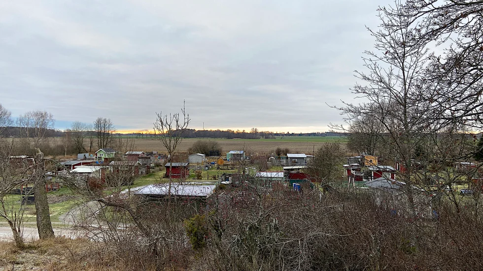 På åkern utanför Gröngarns koloniområde planeras en solcellspark på 30 hektar, vilket motsvarar ytan av 60 fotbollsplaner.