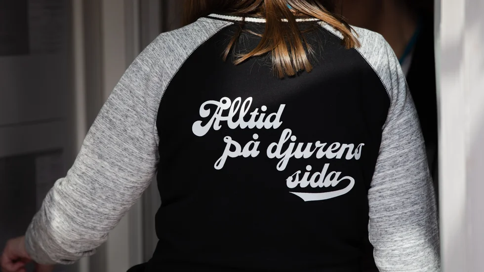 Vi måste höja den anmärkningsvärt låga miniminivån för hur kycklingar får behandlas i Sverige, replikerar Djurens rätts Camilla Bergvall och Anna Harenius till flera företrädare för Svensk Fågel. 