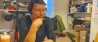 Kulturskolans stöd kan halveras – nya budgeten föreslår rejäl kapning: "Man blir besviken"