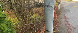 Märkliga skadegörelsen: 15-tal gatlampor förstördes i helgen • "Drar med sig en del kostnader" 