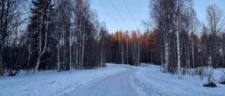 Läsarbilden                   