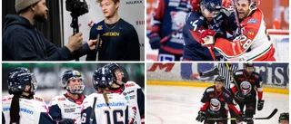 Hockeypanelen: "Sällsynt illa om det inte löste sig för LHC"