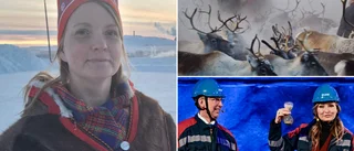 "En katastrof för oss" • Samebyn klyvs itu på grund av LKAB:s jättefyndighet – hävdar att gruvjätten mörkade planerna  
