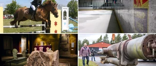 Här är föreningarna som får mest • Regionen delar ut 15 miljoner extra i stöd när elkostnaderna skenar