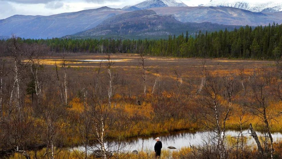 OMSTRIDD SKOG. Änokdeltat har blivit en lång och utdragen historia och handlar om hur tillämpningen av Skogsvårdslagen egentligen ska ske.