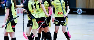 Nu har Notviken hittat det rätta flytet
