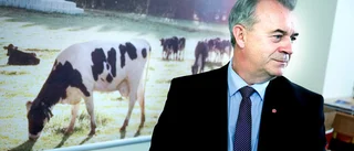 Bucht bestört över mordet