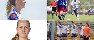 Klartecken från viktiga namn och nyförvärv med allsvenska meriter • ”Smolket i bägaren är att vi spelar i division 3”