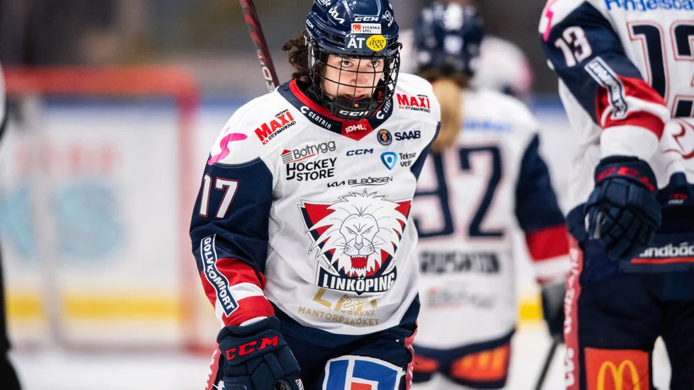 LHC hade en tvåmålsledning i den andra perioden, men Brynäs gick både ikapp och förbi.