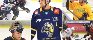 Så har Visby Roma-spelarna levererat