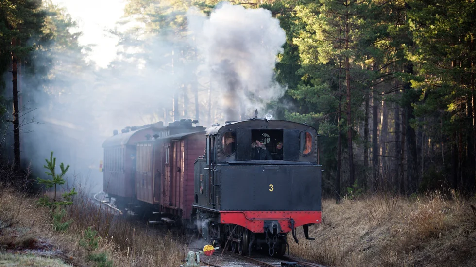 Tåg ligger rätt i tiden menar förslagsskrivaren som tycker att järnvägen bör läggas tillbaka.