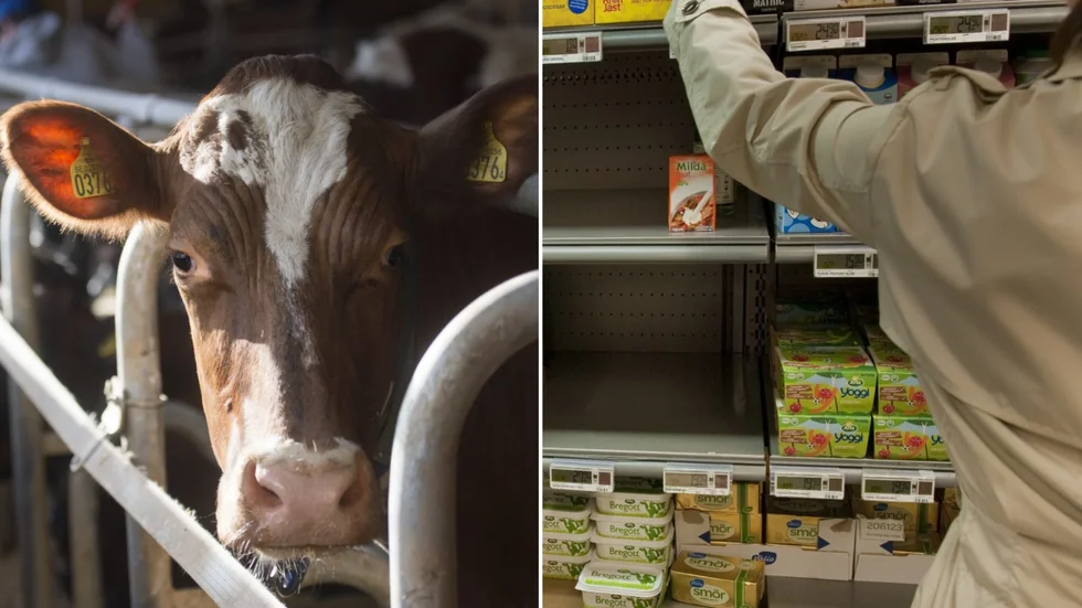 Priset på smör som konsument får betala och den sänkta ersättningen till mjölkproducenterna är en ekvation som insändarskribenten inte får ihop. 