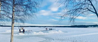 Läsarbilden                   