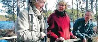 Elöverkänsligas oas