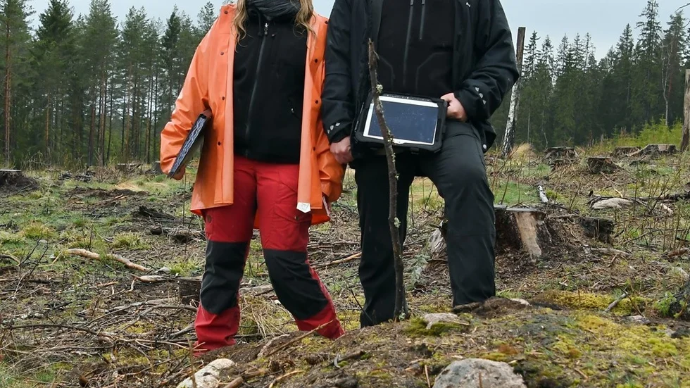 Liselotte Källström, handläggare vid Länsstyrelsen kulturmiljöenhet och Martin Lundgren ansvarig för kulturmiljöfrågor hos Skogsstyrelsen i Kalmar län fann en riklig förekomst av odlingsrösen vid förra veckans inspektion i Rumskullaskogarna.