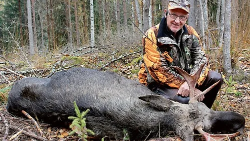 Håkan Pettersson, gästjägare i Kronoborgs jaktlag, fällde sin 57:e älg. "Jag tänker hålla på tills jag är uppe i 60 älgar", säger den 67-årige jägaren.