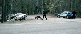 Stort polispådrag utanför Kisa