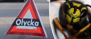 Fick in geting i bilen – körde av vägen