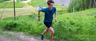 Östgötska medaljörer i Närkekvartetten